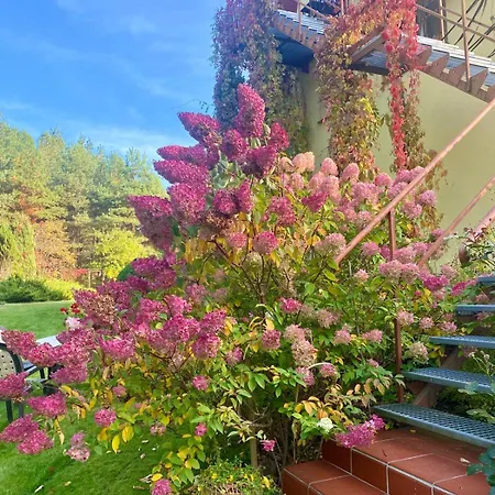 Apartment Let In Mazury !! Szczytno (Warmian-Masurian)