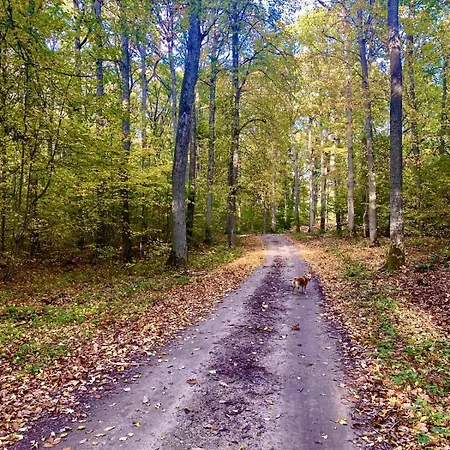 Let In Mazury !! * Szczytno (Warmian-Masurian)